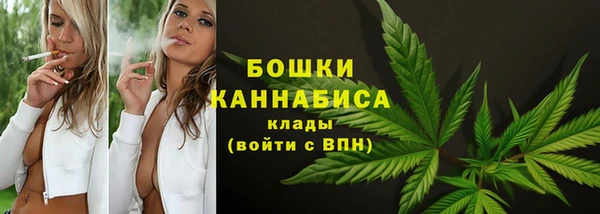 эйфоретик Карпинск
