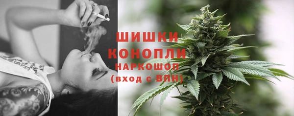 эйфоретик Карпинск
