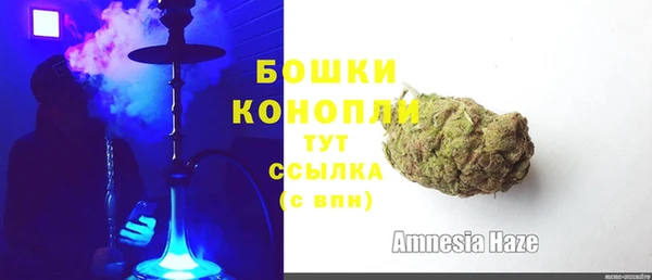 эйфоретик Карпинск