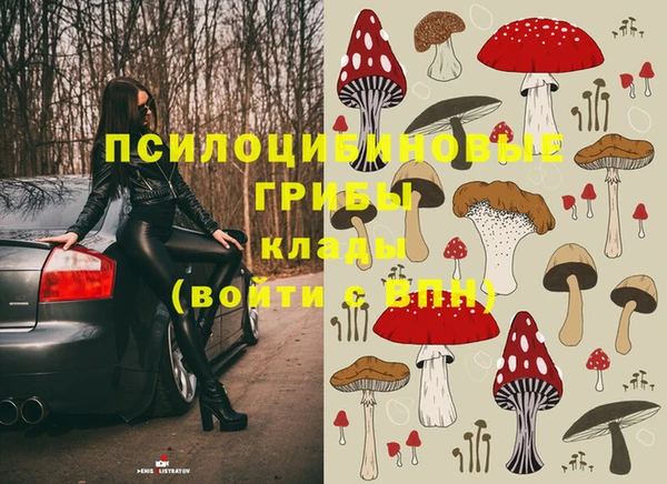 эйфоретик Карпинск