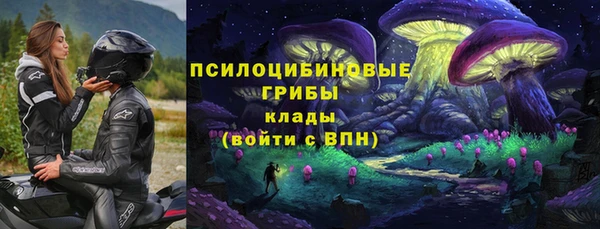 мяу мяу мука Касимов