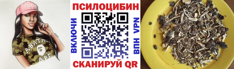 Купить где  Белогорск  Псилоцибиновые грибы Psilocybe 